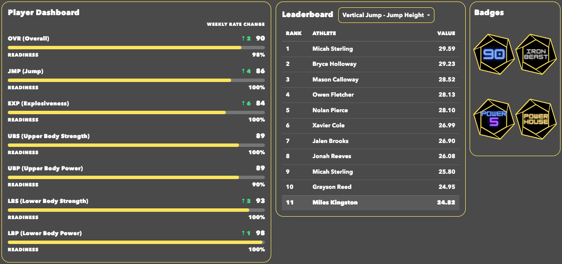 Player dashboard showing ratings, leaderboards, and badge panel.