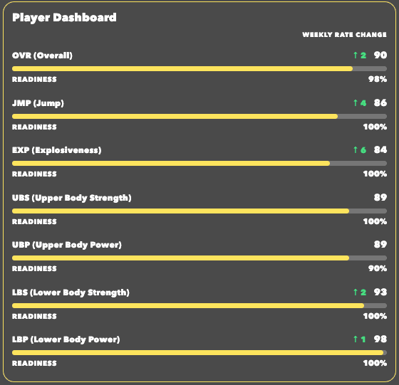 Player dashboard panel preview.